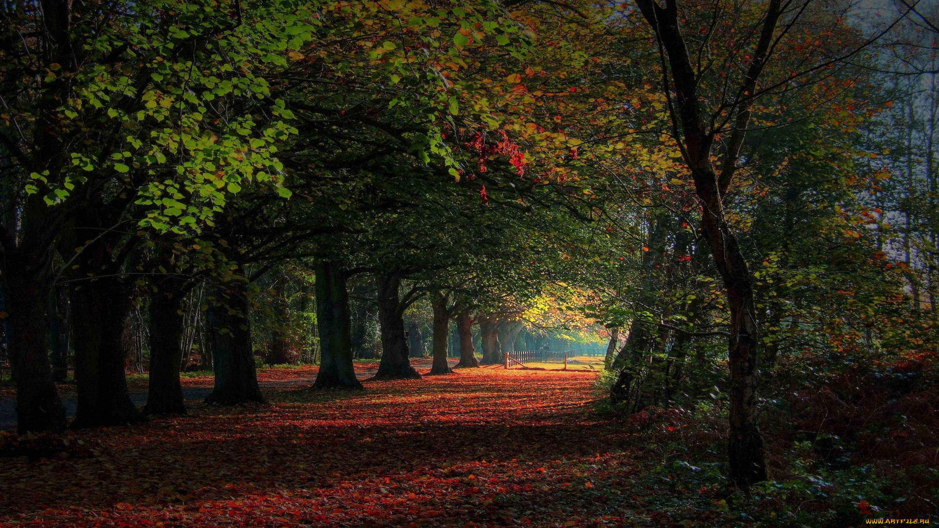 wonderland, , , , 